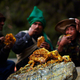 Illustration for article titled Stunning photos show the ancient tradition of honey hunting in Nepal